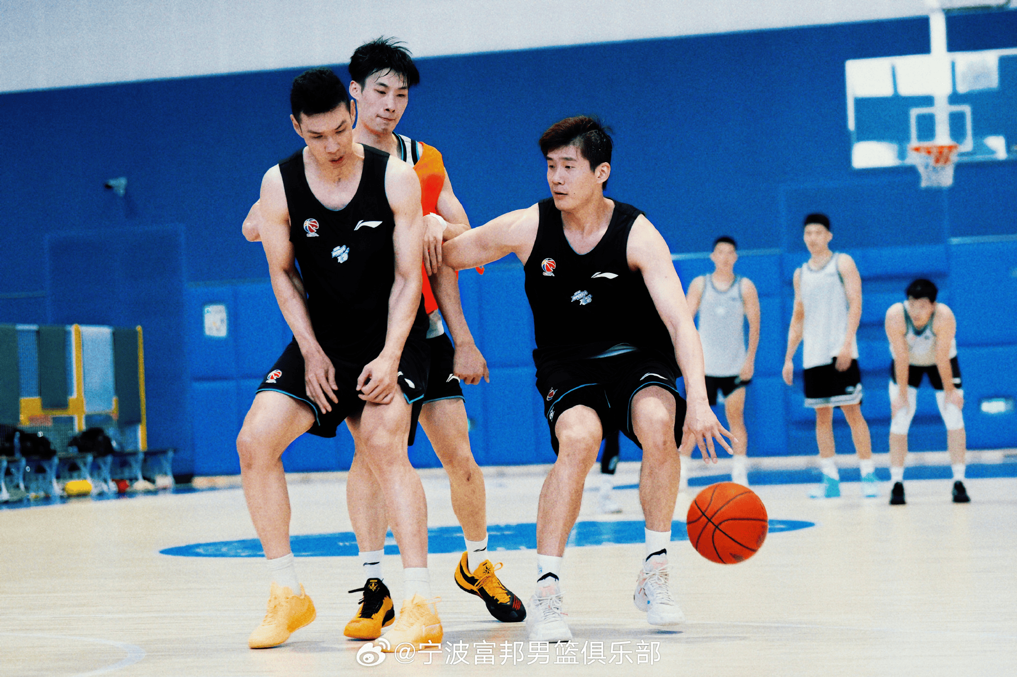 抗篇, entit